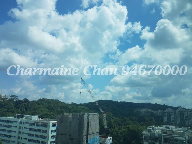 Hillview Regency (D23), Condominium #148569302